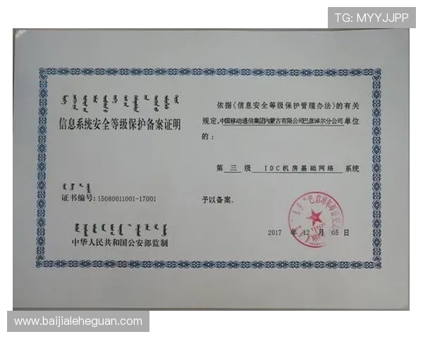 AG真人手机端安全登录与账号保护的实用指南