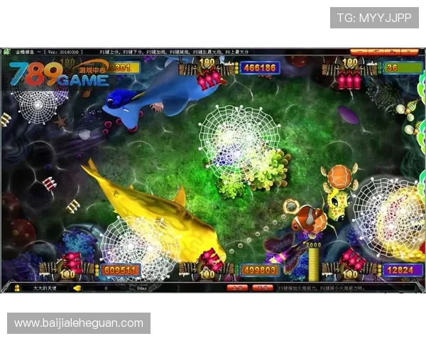 银鲨飞禽走兽最新活动攻略助你参与各种精彩活动赢取丰富奖励