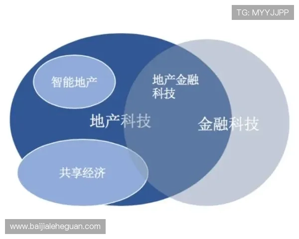 国际真人直营发展现状与未来前景分析助力投资者把握行业机遇