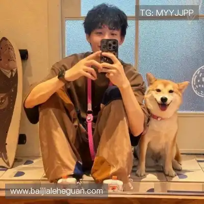 柳琴果